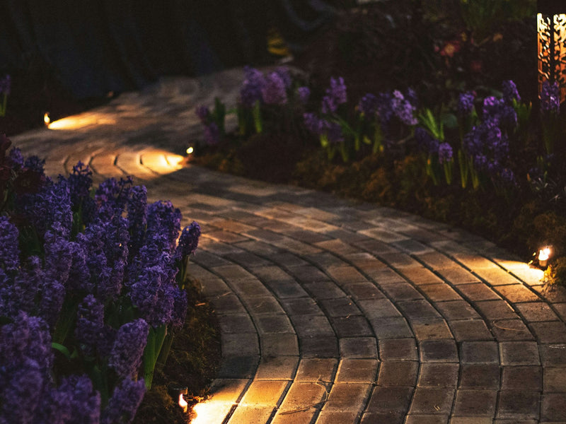 Garden Lights