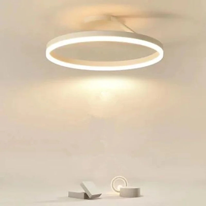 LED Ring Ceiling Light 50cm, Dimmable, in Metal and Acrylic