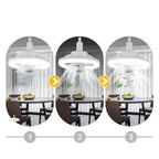 Adjustable Ceiling Fan with Light, 360 Degree Head, E27