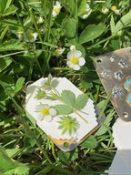Mini Flower Press with 10 Reusable Blotting Sheets