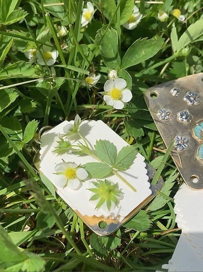 Mini Flower Press with 10 Reusable Blotting Sheets