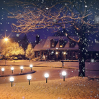 Solar Globe Garden Lights, Set of 3, Waterproof Path Lighting