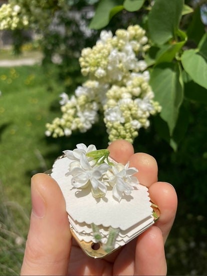Mini Flower Press with 10 Reusable Blotting Sheets