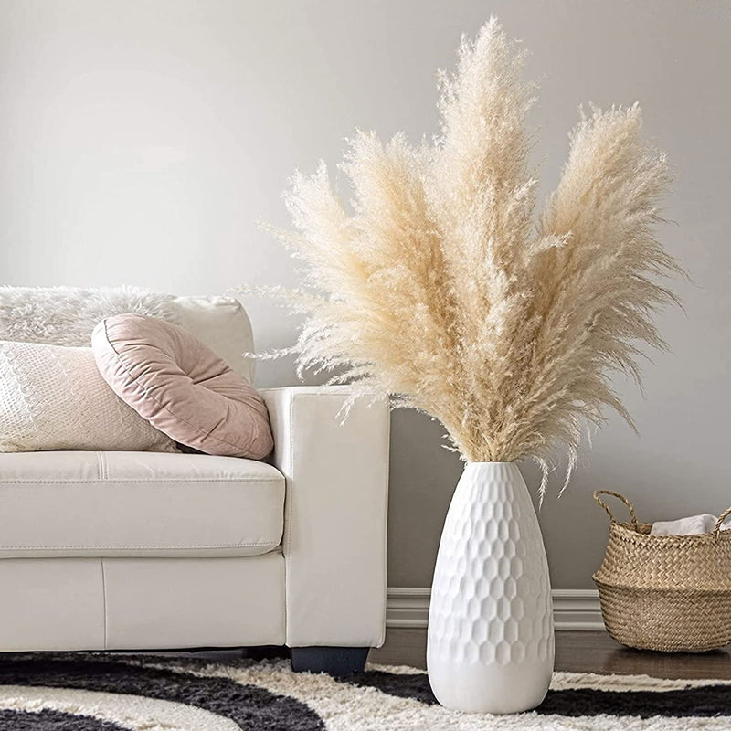 Dried Pampas Grass Plumes, Set of 10 Natural Decorative Stems