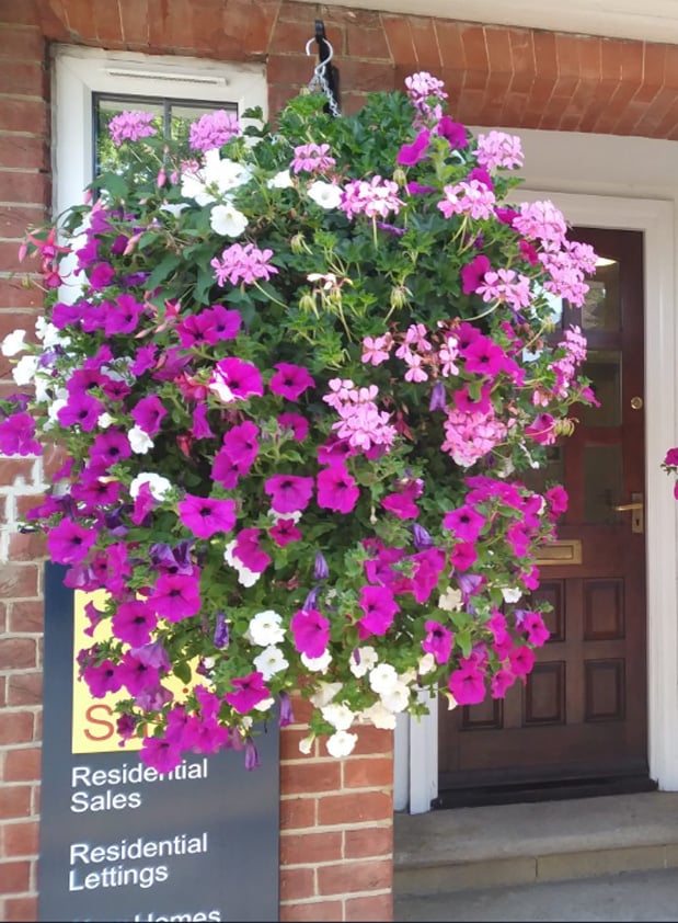 Artificial Trailing Flower Vine 90cm, UV Resistant, 44 Blooms