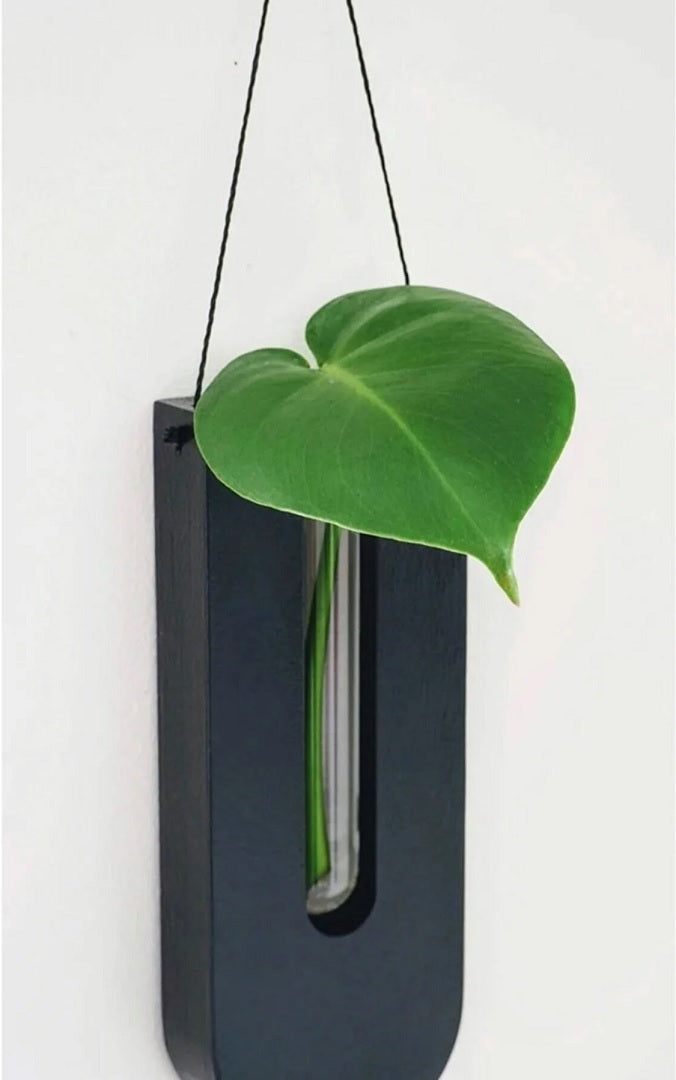 Pine Wood Wall Plant Holders, Set of 7, Vertical Display