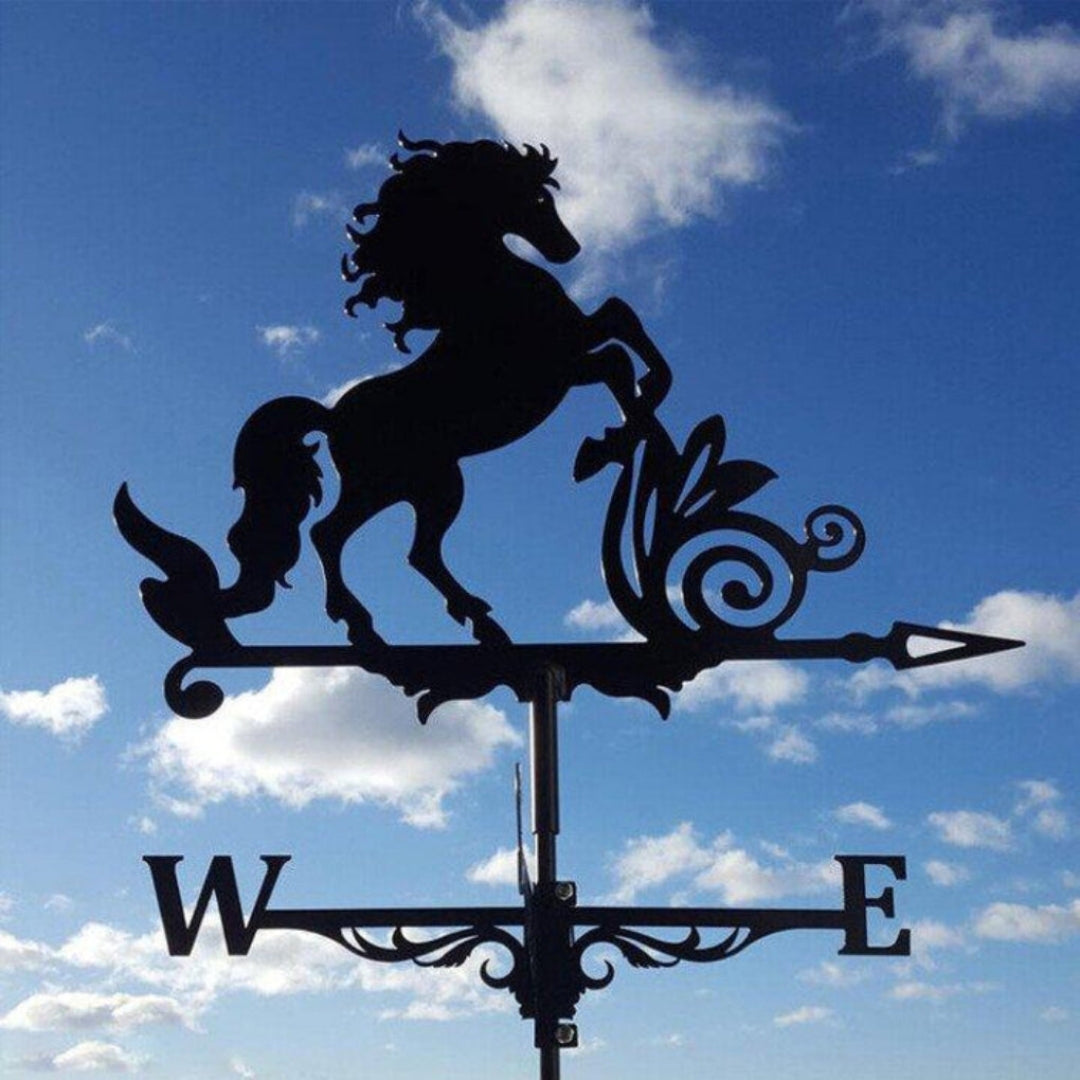 Stainless Steel Garden Weathervane in Nine Designs