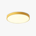 Round LED Ceiling Light, 30 to 50 cm, Warm or Cool White