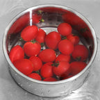 Stainless Steel Sink Strainer with Fine Mesh Filter