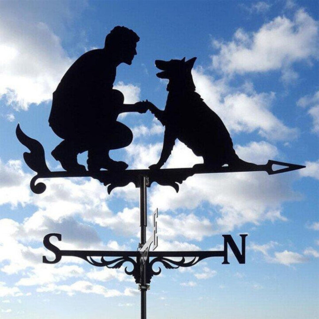 Stainless Steel Garden Weathervane in Nine Designs