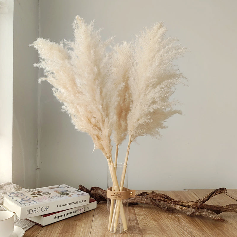 Dried Pampas Grass Plumes, Set of 10 Natural Decorative Stems