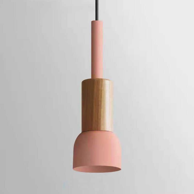 Scandinavian Wood Pendant Light with Coloured Metal Shade