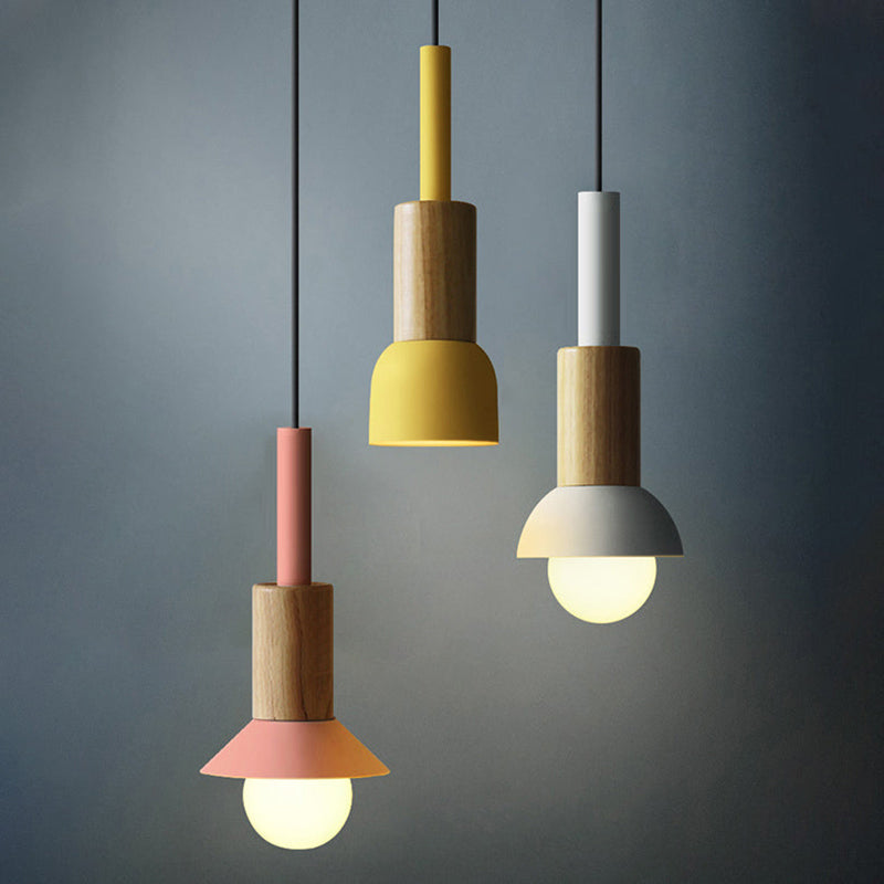 Scandinavian Wood Pendant Light with Coloured Metal Shade
