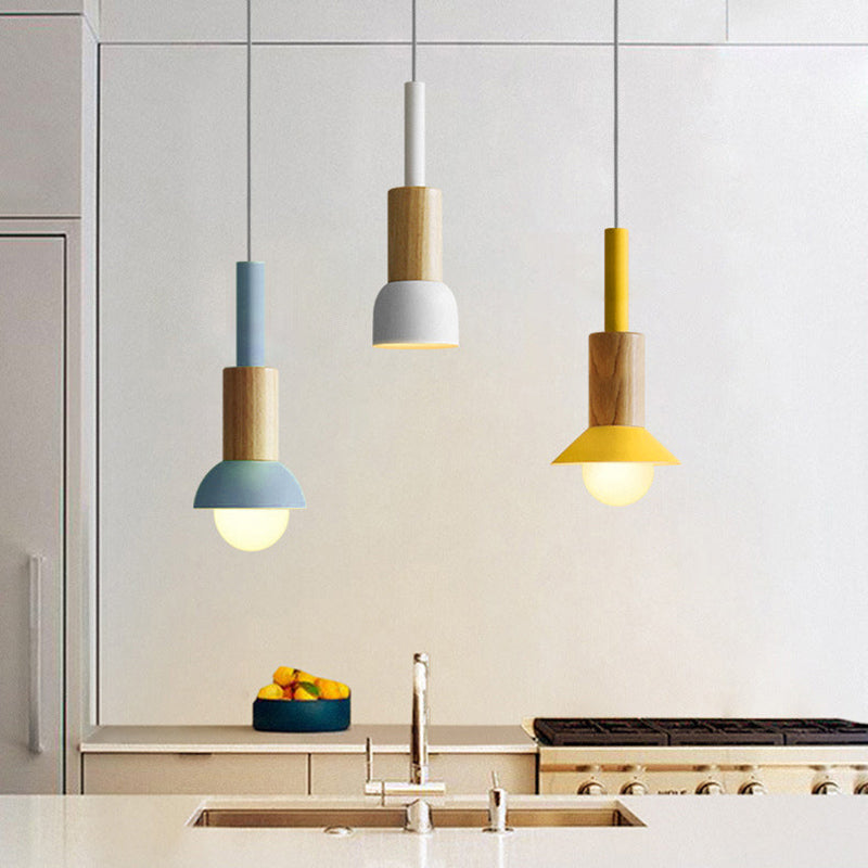 Scandinavian Wood Pendant Light with Coloured Metal Shade