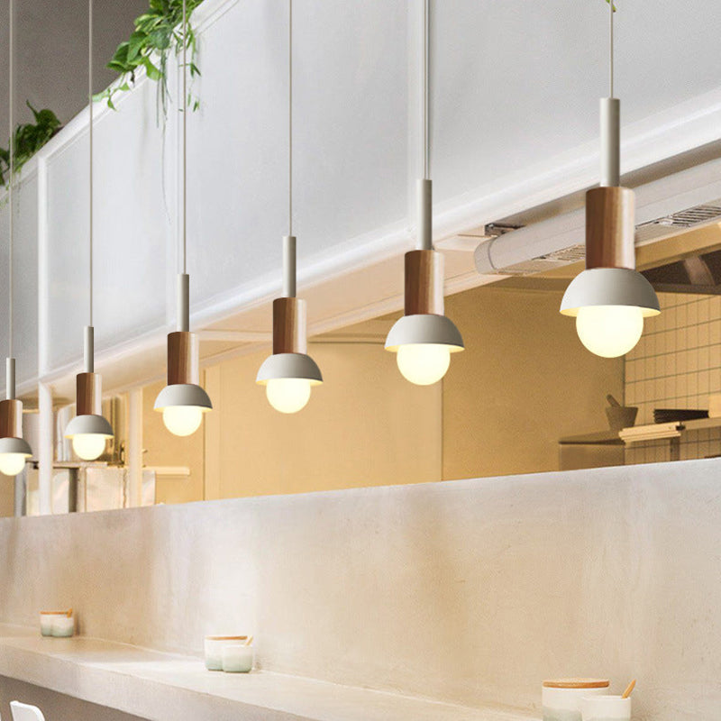 Scandinavian Wood Pendant Light with Coloured Metal Shade