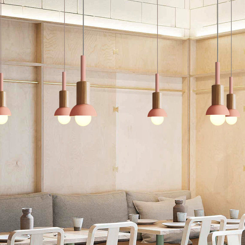 Scandinavian Wood Pendant Light with Coloured Metal Shade