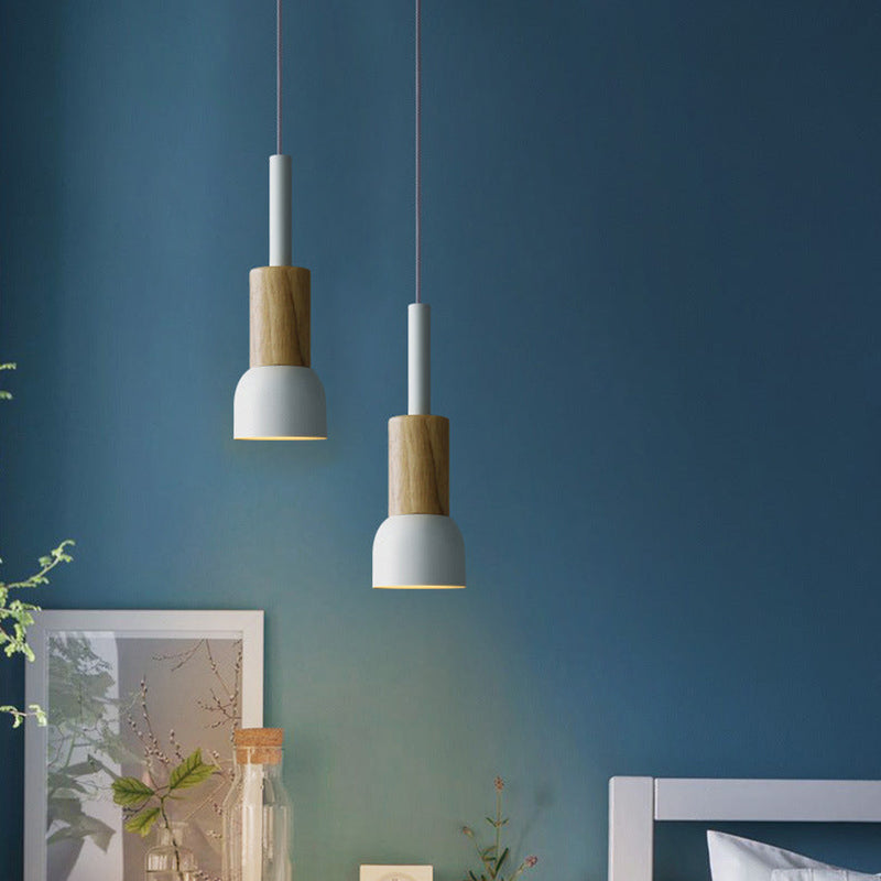 Scandinavian Wood Pendant Light with Coloured Metal Shade