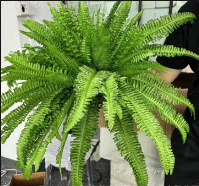 Artificial Trailing Fern, UV Resistant PVC, Indoor and Outdoor