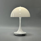 Cordless Rechargeable LED Table Lamp in Metal and Glass