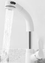 Pull-Out Basin Tap with Flexible Spray Head, Brass Body