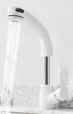 Pull-Out Basin Tap with Flexible Spray Head, Brass Body