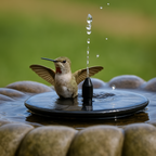 Floating Solar Fountain Pump for Ponds and Bird Baths, IP65