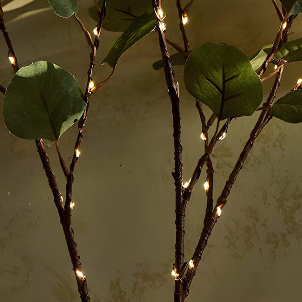 LED Olive Branch Light 70cm with 120 Warm White Fairy Lights