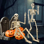 Posable Hanging Skeleton Decoration, 40 cm and 90 cm