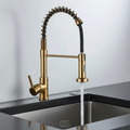 Kitchen Mixer Tap with 360-Degree Swivel Pull-Out Spray