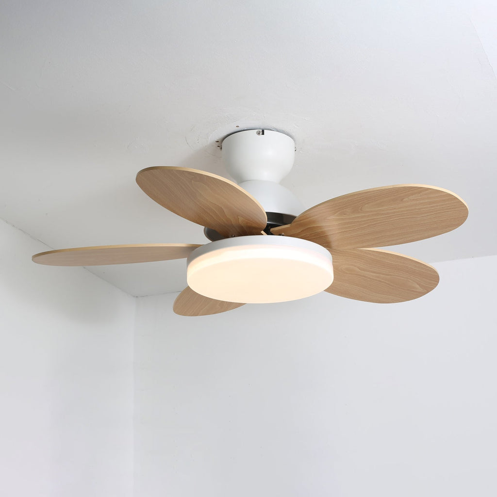 Kids Ceiling Fan with LED Light and Colourful Blades, Remote