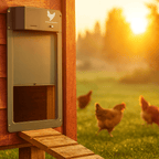 Automatic Chicken Coop Door with Light Sensor, Weatherproof