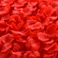 Silk Rose Petals, Reusable Party Confetti in 7 Colours
