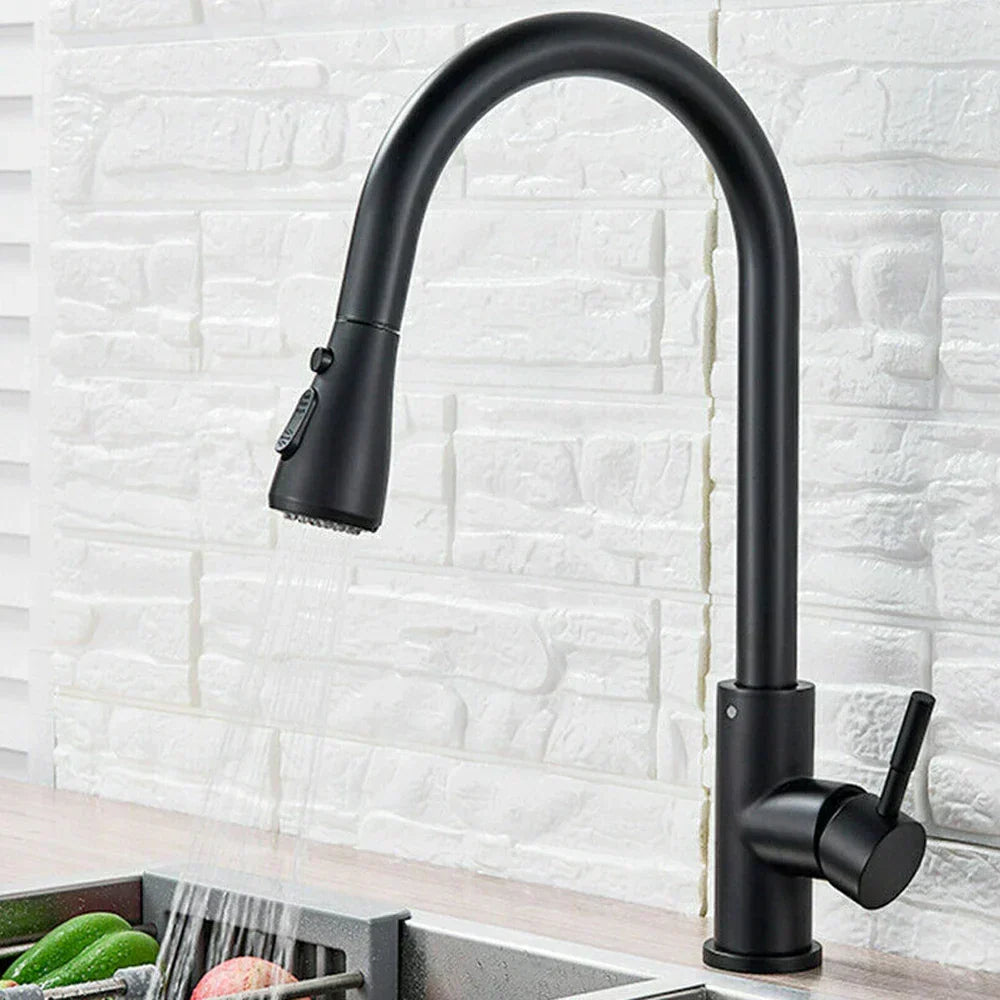 Stainless Steel Kitchen Tap with Pull-Out Spray, Single Lever