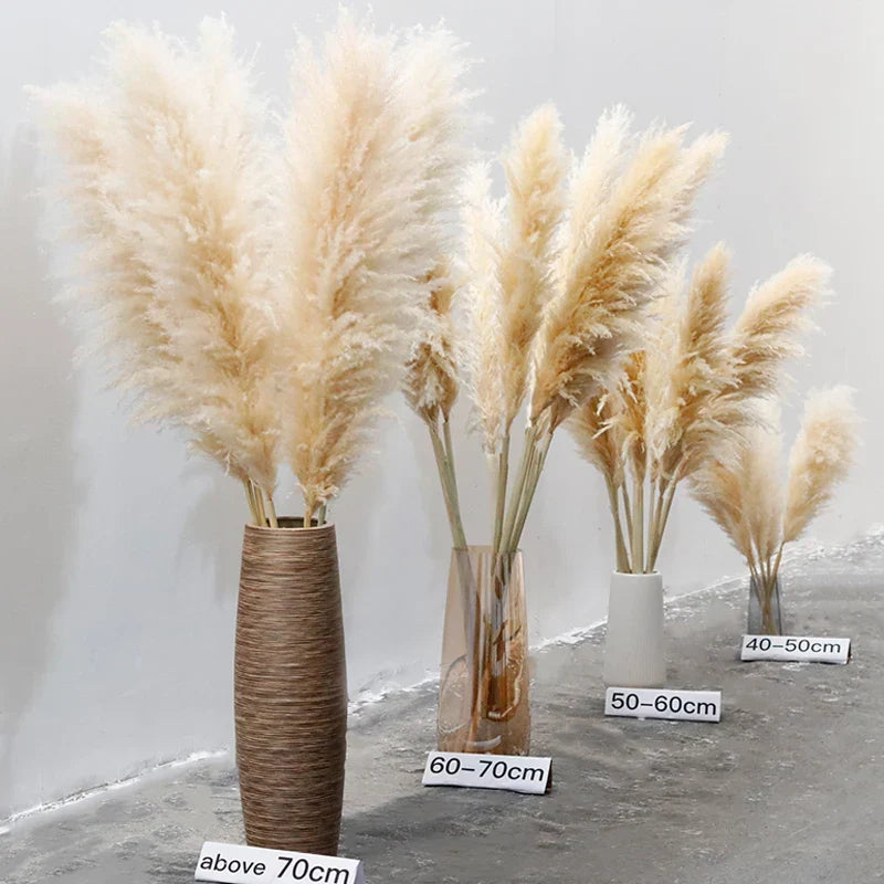 Dried Pampas Grass Plumes, Set of 10 Natural Decorative Stems