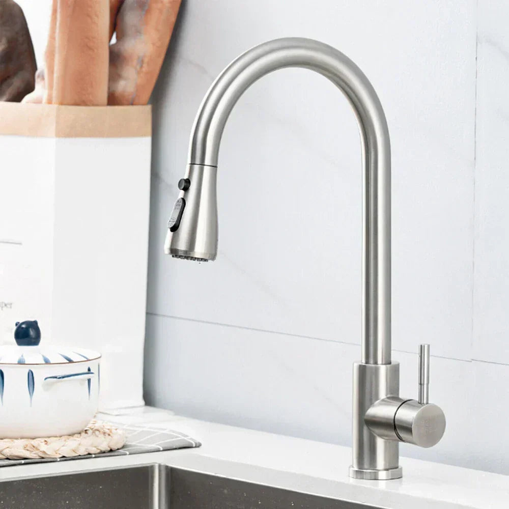 Stainless Steel Kitchen Tap with Pull-Out Spray, Single Lever