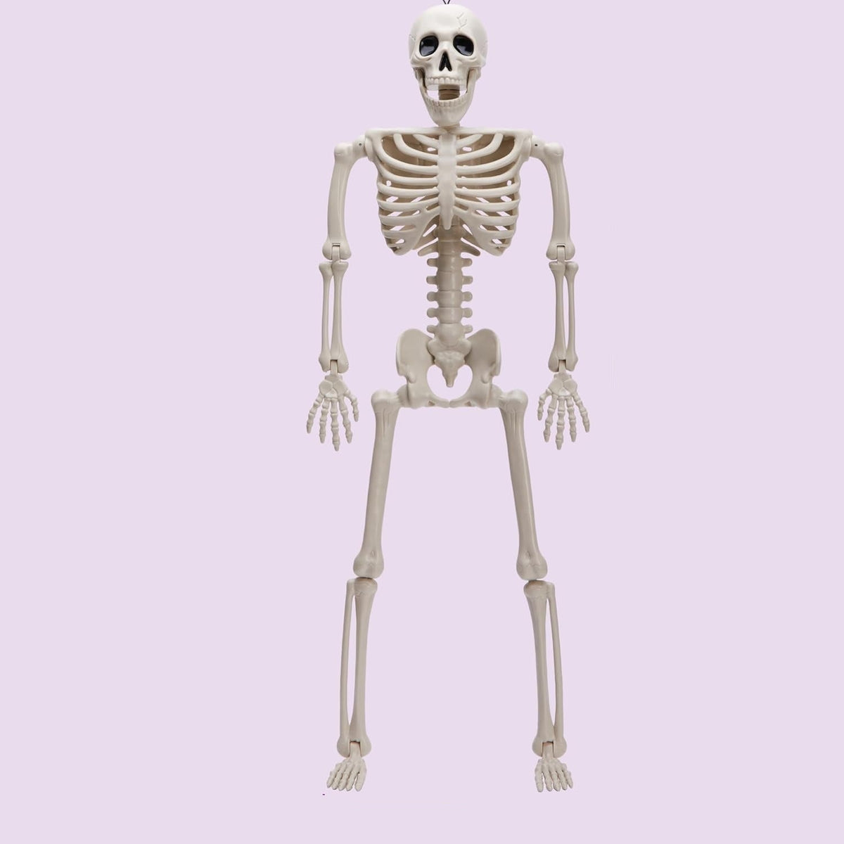 Posable Hanging Skeleton Decoration, 40 cm and 90 cm