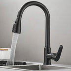 Pull-Out Kitchen Tap with Spray Head, 360 Degree Swivel