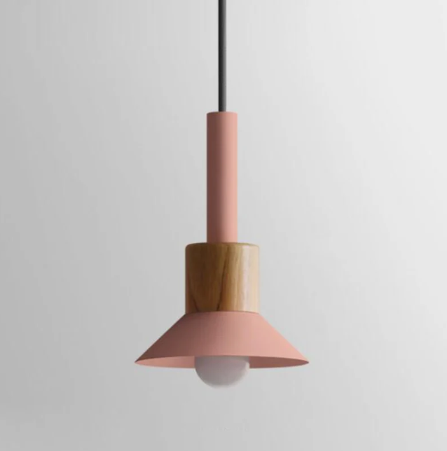 Scandinavian Wood Pendant Light with Coloured Metal Shade