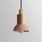 Scandinavian Wood Pendant Light with Coloured Metal Shade