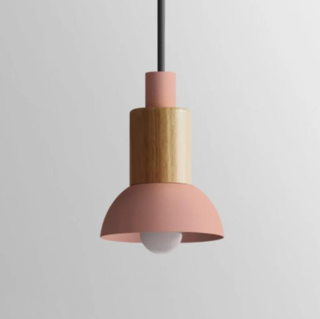 Scandinavian Wood Pendant Light with Coloured Metal Shade