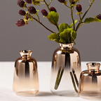 Ombre Glass Vase for Fresh and Dried Flowers, Four Sizes