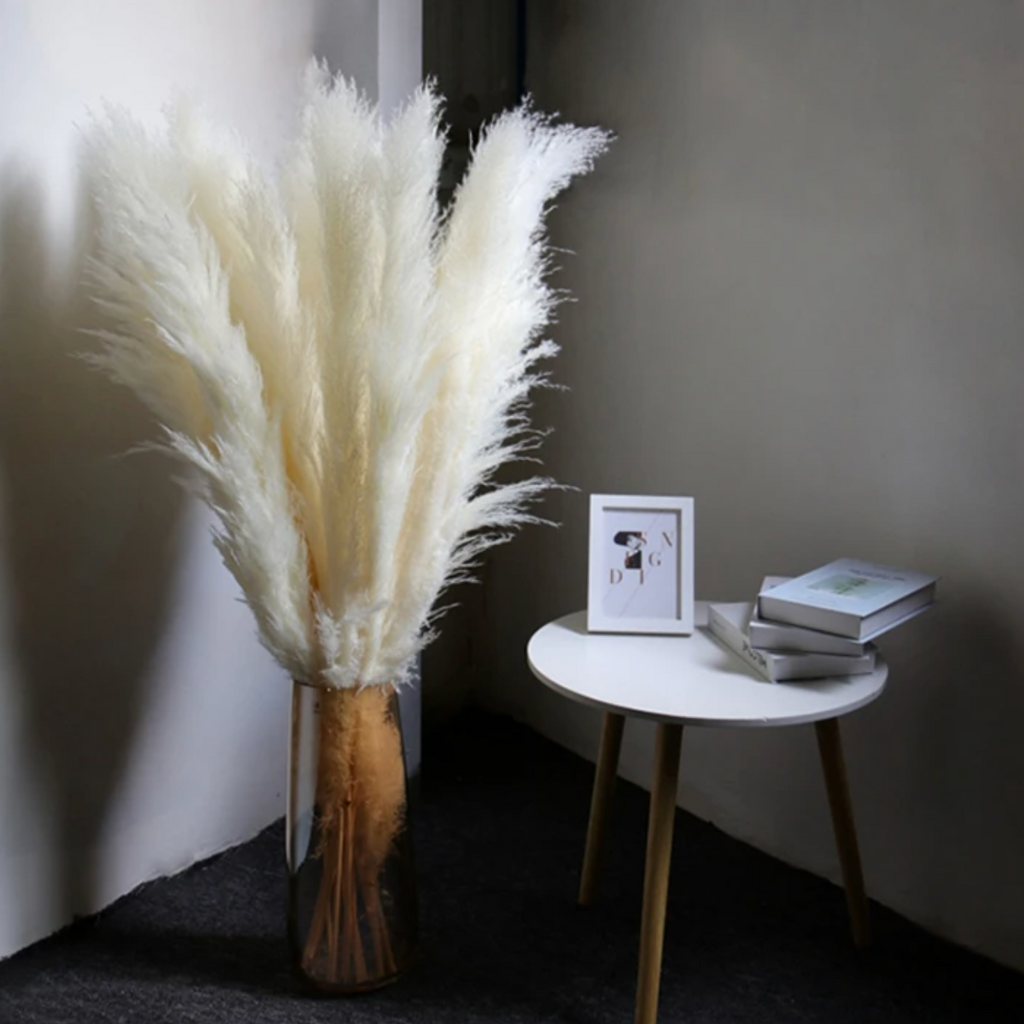 Dried Pampas Grass Plumes, Set of 10 Natural Decorative Stems