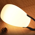 Cordless Outdoor LED Lamp with Remote, Timer and 8 Colours