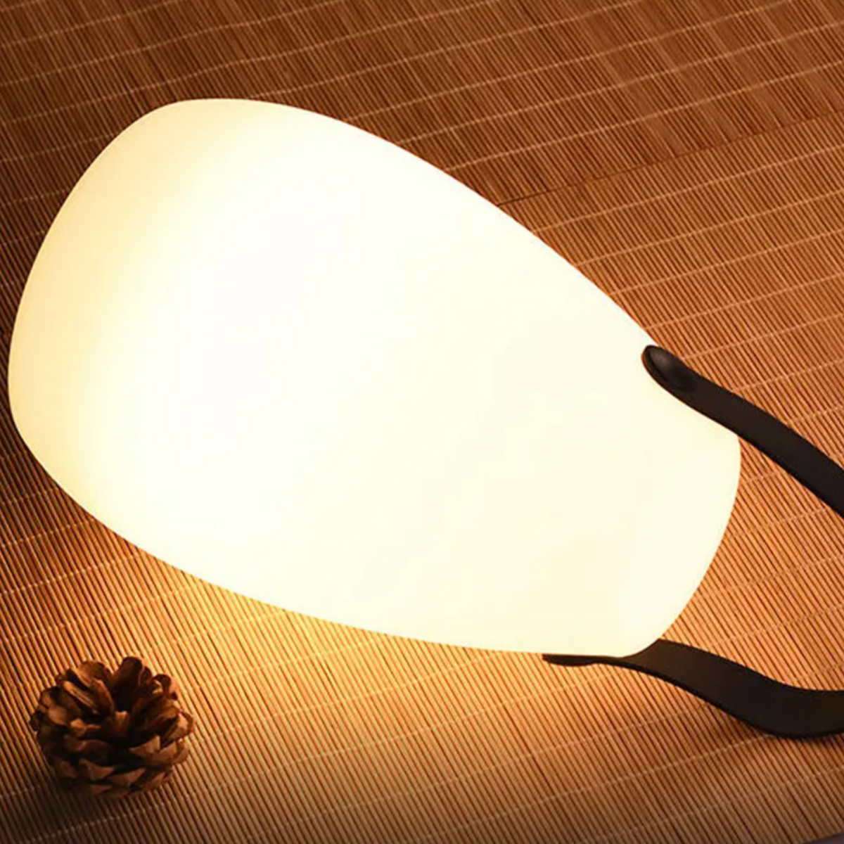 Cordless Outdoor LED Lamp with Remote, Timer and 8 Colours