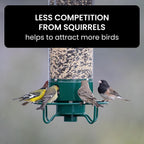 Squirrel Resistant Bird Feeder, Metal, 2.3 kg Seed Capacity