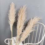 Dried Pampas Grass Plumes, Set of 10 Natural Decorative Stems