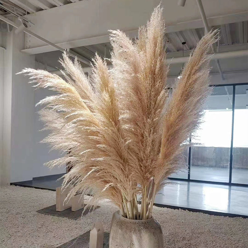 Dried Pampas Grass Plumes, Set of 10 Natural Decorative Stems