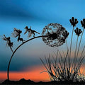 Metal Fairy with Dandelion Garden Ornament, Weather-Resistant