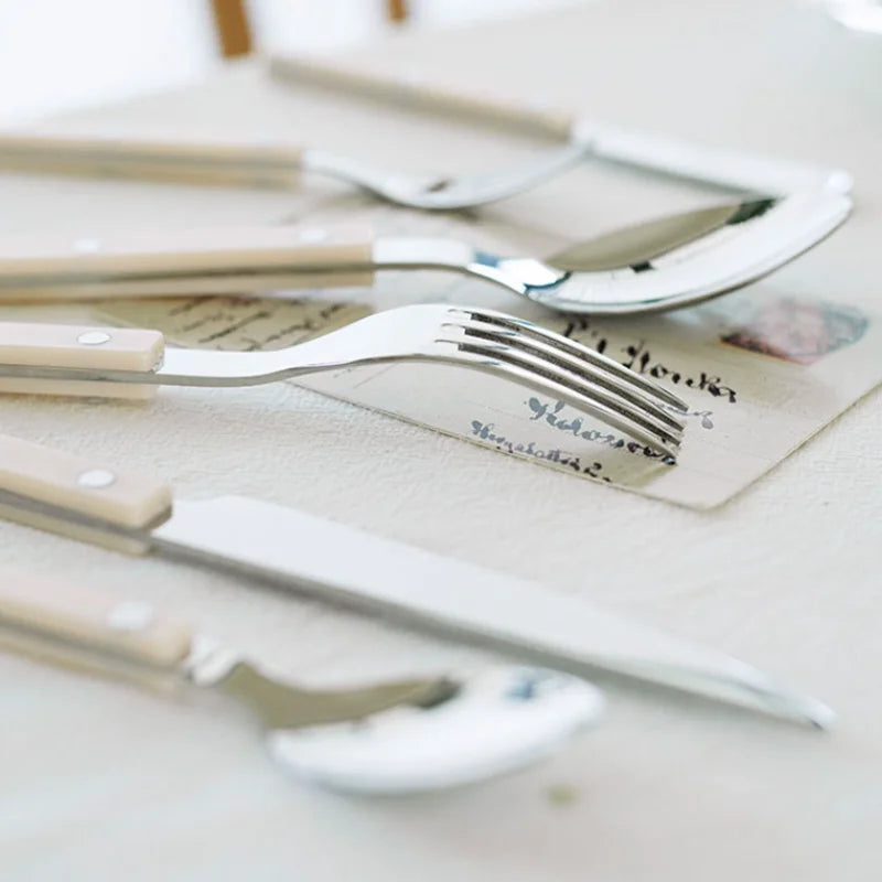 24-Piece Stainless Steel Cutlery Set with Coloured Handles