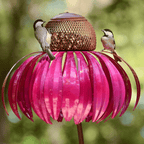 Decorative Metal Bird Feeder on Garden Stake
